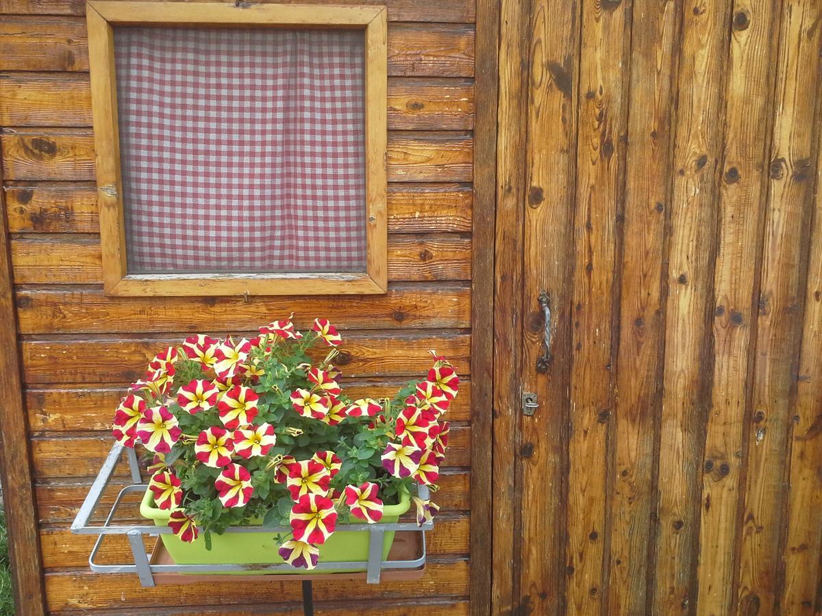 B&B Ciccilia Bentivoglio Extérieur photo