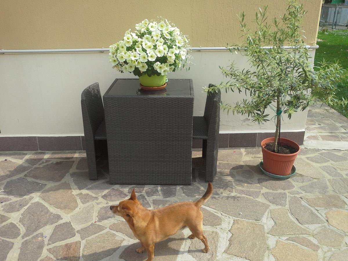 B&B Ciccilia Bentivoglio Extérieur photo